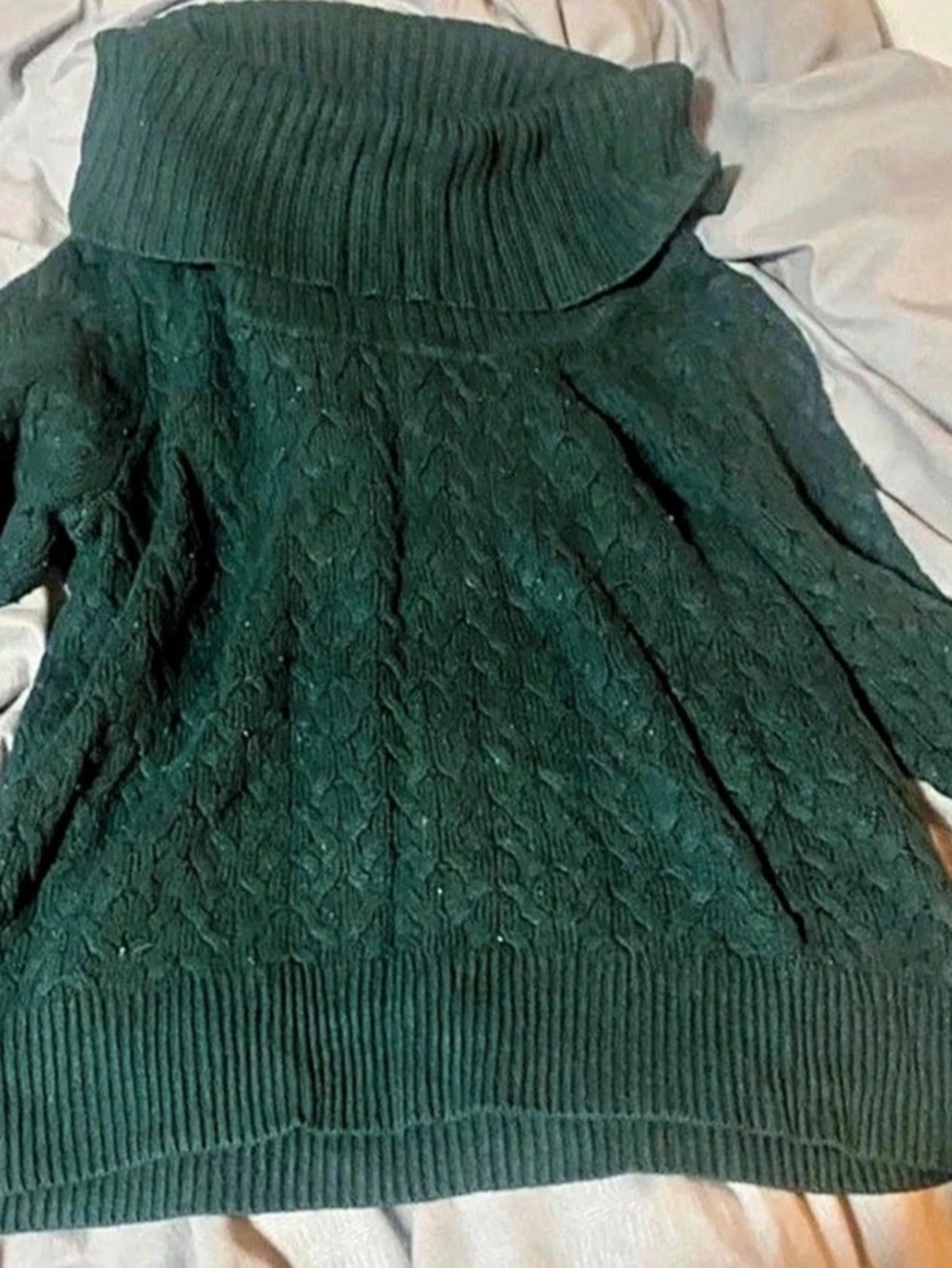 Cable Knit Turtleneck Sweater in Green Like New